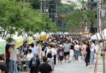 삼성2동, 선정릉의 가을을 풍성하게 채우는 문화축제 연다
