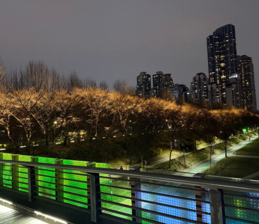 강남구, 양재천 벚꽃길에 ‘빛의 예술’ 더하다