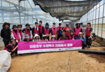 강남구, 집중호우 피해지역 복구 지원…“이웃과 함께한 연대의 현장”