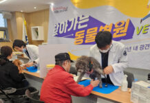 강남구, ‘찾아가는 건강케어 행복케어’ 운영… 반려견 복지 현장으로 간다