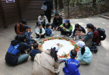 강남구, 유아숲 가족축제 개최…가을 숲속에서 만나는 자연 놀이터