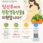강남구, 임산부 1,764명에 친환경 농산물 24만 원 지원