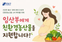 강남구, 임산부 1,764명에 친환경 농산물 24만 원 지원